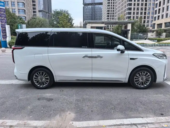 Wey Gaoshan P HEV 2023 Model 4WD Ultimate Edition – фото 5