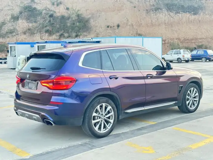 BMW X3 2020 Model xDrive25i Luxury Set – фото 6