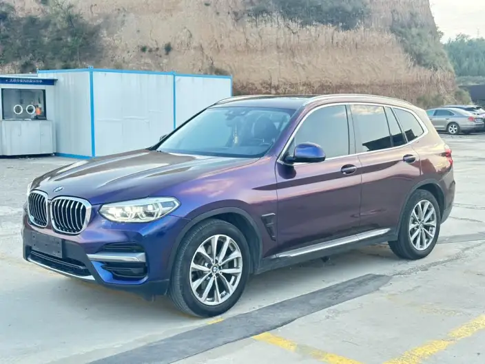 BMW X3 2020 Model xDrive25i Luxury Set – фото 10