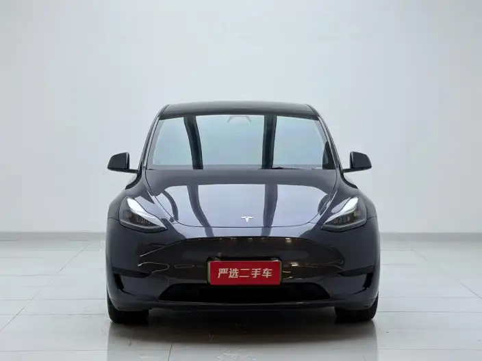 Model Y 2022 Model Facelift Rear-wheel drive version – фото 2