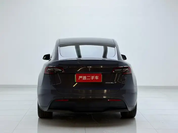 Model Y 2022 Model Facelift Rear-wheel drive version – фото 5