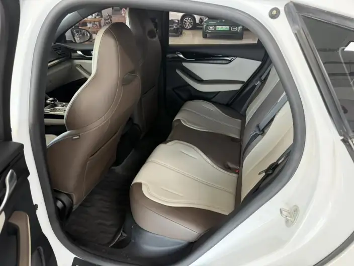 BYD Qin PLUS DM 2024 Model Honor Edition DM-i 55KM Leading Model – фото 9