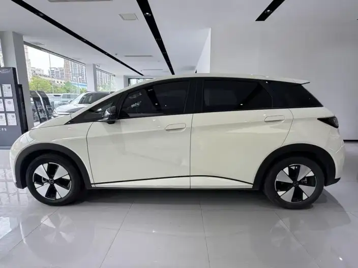 BYD Dolphin 2023 Model Free Edition – фото 3