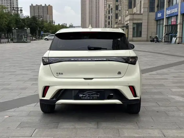 BYD Dolphin 2023 Model Free Edition – фото 4