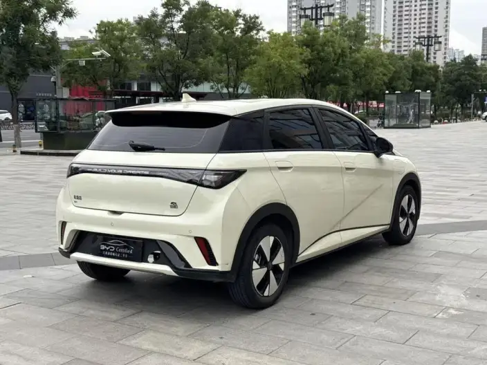 BYD Dolphin 2023 Model Free Edition – фото 5