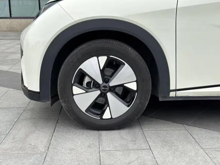 BYD Dolphin 2023 Model Free Edition – фото 6