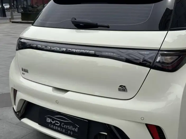 BYD Dolphin 2023 Model Free Edition – фото 8
