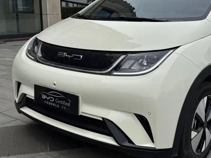 BYD Dolphin 2023 Model Free Edition – фото 10