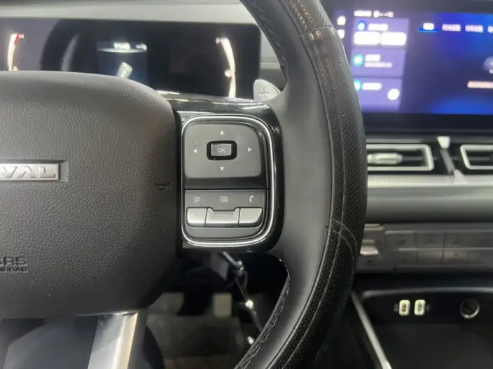 Haval H5 2024 Model 2.0T Petrol Ling Innovation Automatic 4WD – фото 8