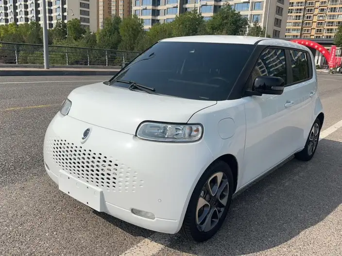 ORA White Cat 2020 Model 401km Flagship Model