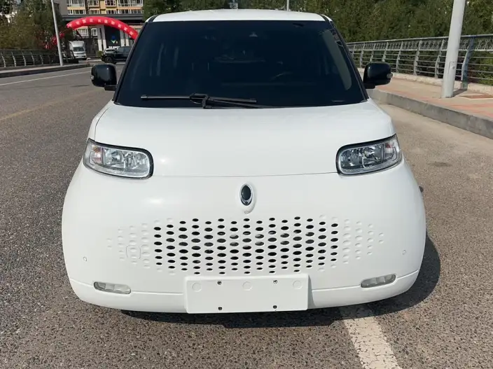 ORA White Cat 2020 Model 401km Flagship Model