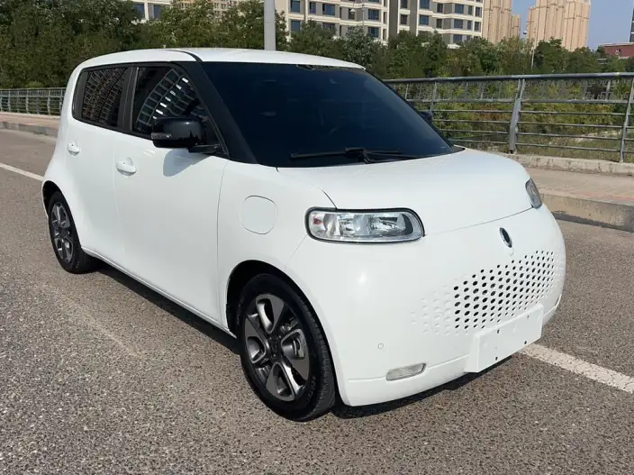 ORA White Cat 2020 Model 401km Flagship Model