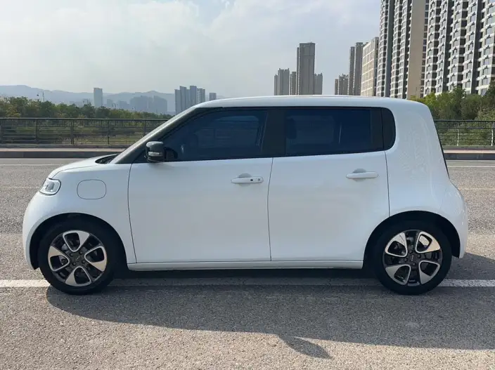 ORA White Cat 2020 Model 401km Flagship Model