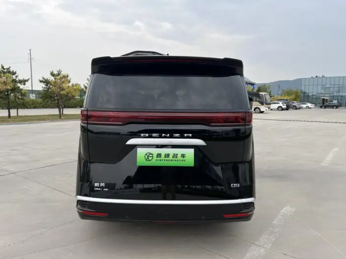 DENZA D9 DM 2022 Model 970 4WD Flagship Model – фото 5