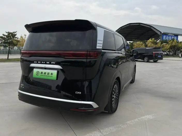 DENZA D9 DM 2022 Model 970 4WD Flagship Model – фото 6