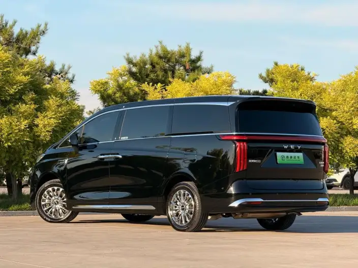 Wey Gaoshan P HEV 2025 Model 4WD Wey Gaoshan 8 – фото 4