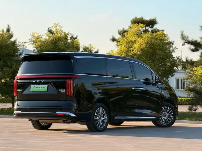 Wey Gaoshan P HEV 2025 Model 4WD Wey Gaoshan 8 – фото 6
