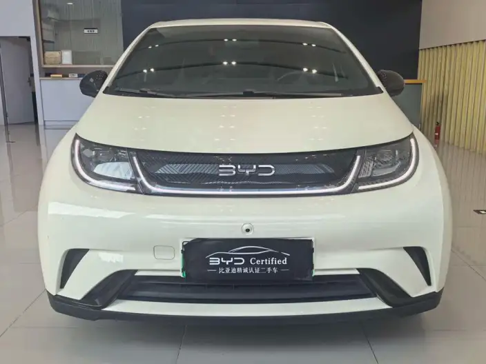 BYD Dolphin 2025 Model 420KM Free Edition – фото 2