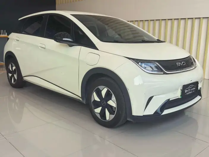 BYD Dolphin 2025 Model 420KM Free Edition – фото 3