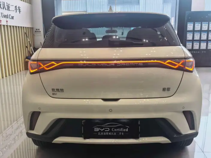 BYD Dolphin 2025 Model 420KM Free Edition – фото 5