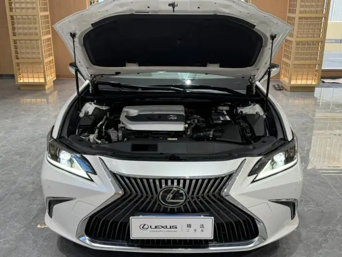 Lexus ES 2020 Model 200 Superior Edition China VI – фото 8