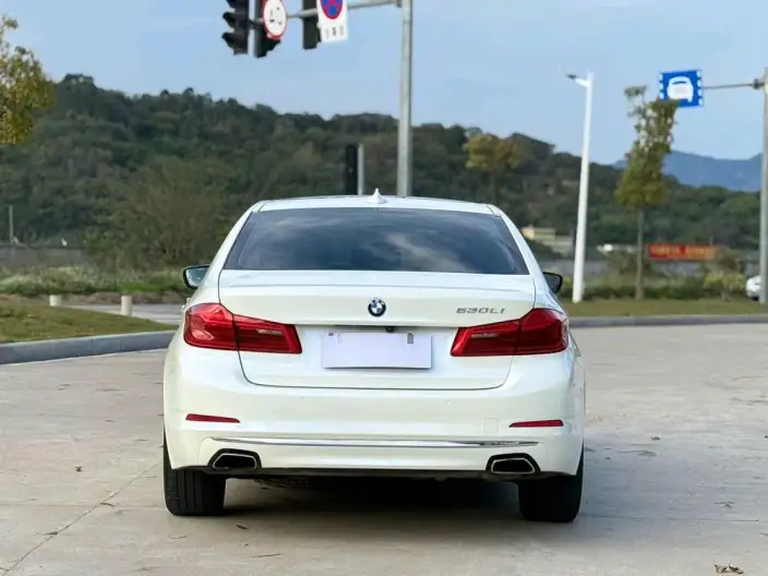 BMW 5 Series 2020 Model 530Li Exclusive Model Luxury Set – фото 6