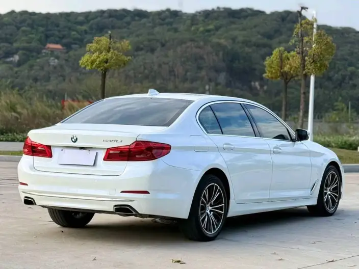 BMW 5 Series 2020 Model 530Li Exclusive Model Luxury Set – фото 7