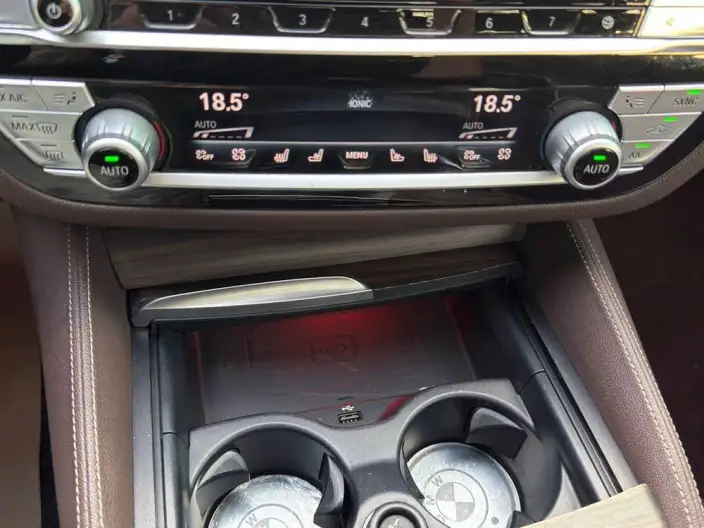 BMW 5 Series 2020 Model 530Li Exclusive Model Luxury Set – фото 10