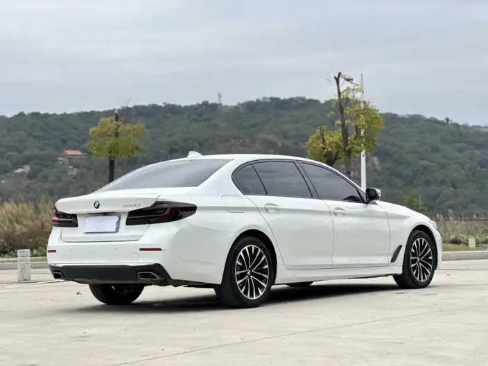 BMW 5 Series 2021 Model Facelift 525Li Luxury Set – фото 7