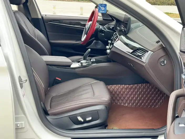 BMW 5 Series 2021 Model Facelift 525Li Luxury Set – фото 8