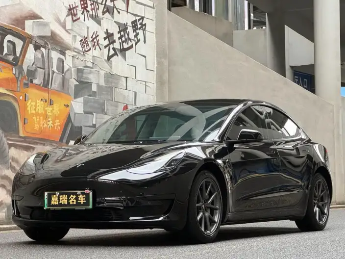 Model 3 2021 Model Standard Battery Life Rear Drive L Class Edition – фото 1