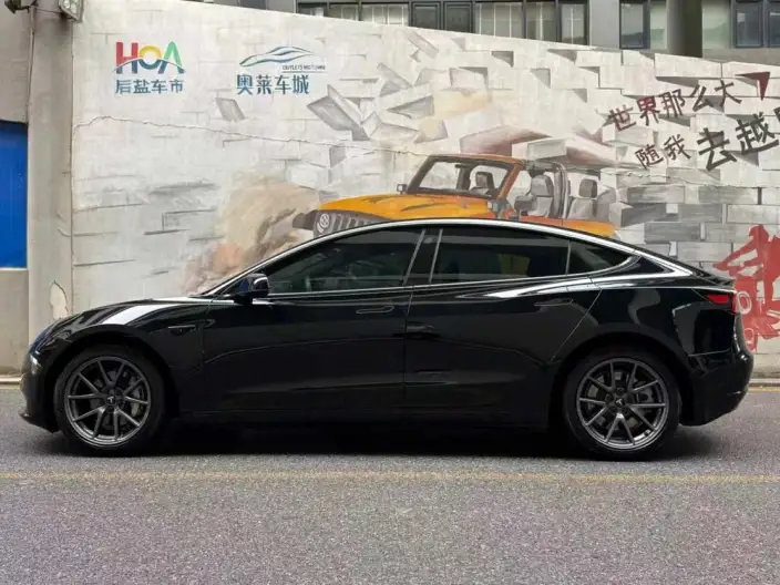 Model 3 2021 Model Standard Battery Life Rear Drive L Class Edition – фото 3