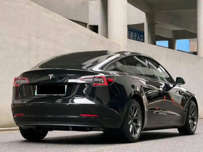 Model 3 2021 Model Standard Battery Life Rear Drive L Class Edition – фото 5