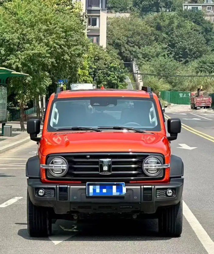 Tank 300 2024 Model 2.0T Challenger – фото 2