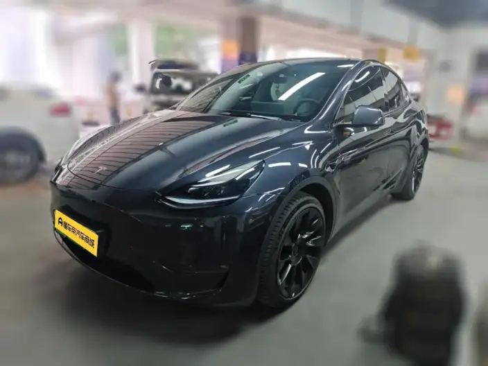 Model Y 2024 Model Long Battery Life Pro All-wheel drive version – фото 1