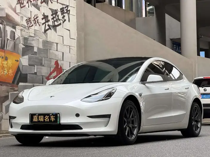 Model 3 2020 Model Facelift Long Battery Life Pro Rear-wheel drive version – фото 1