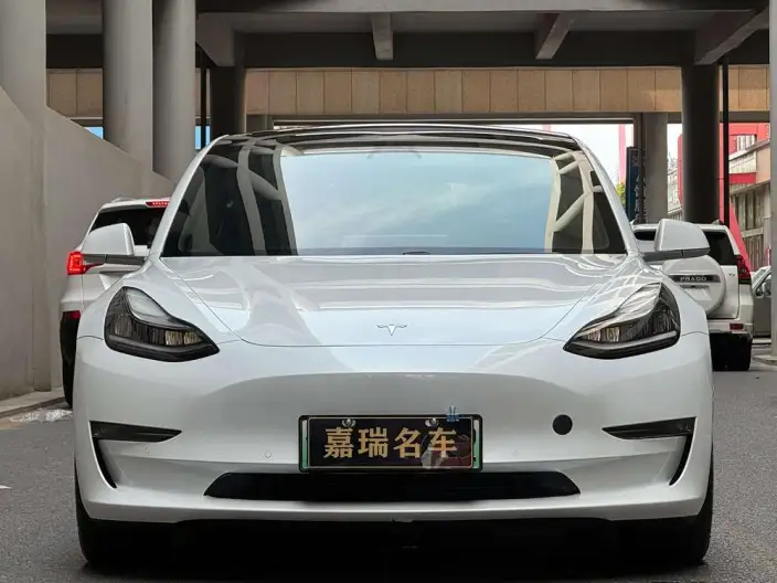 Model 3 2020 Model Facelift Long Battery Life Pro Rear-wheel drive version – фото 2