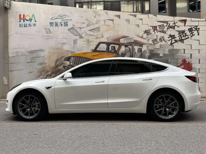 Model 3 2020 Model Facelift Long Battery Life Pro Rear-wheel drive version – фото 3