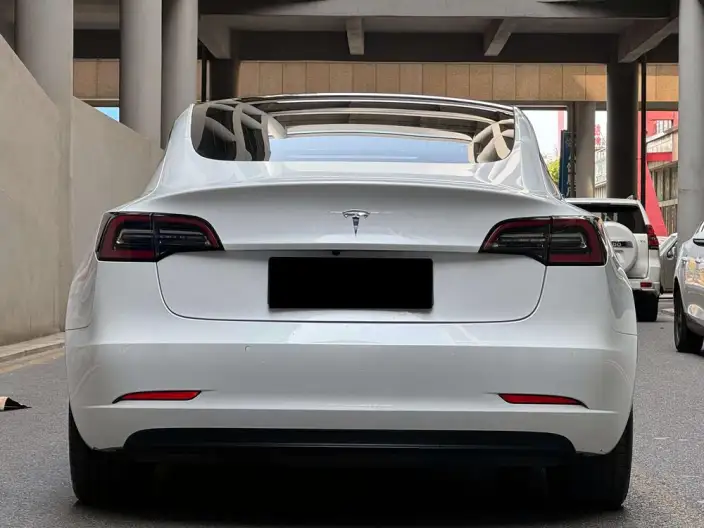 Model 3 2020 Model Facelift Long Battery Life Pro Rear-wheel drive version – фото 4