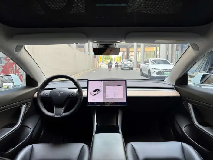 Model 3 2020 Model Facelift Long Battery Life Pro Rear-wheel drive version – фото 10
