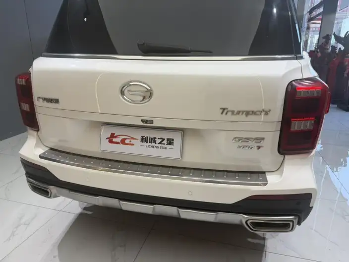 GAC Trumpchi GS8 2020 Model 390T 2WD Luxury Zhilian Edition 7 seat – фото 8