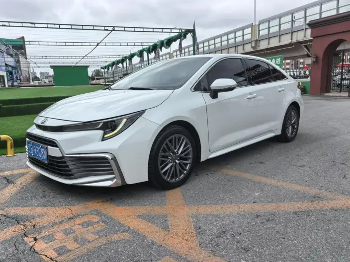 Lingshang 2021 Model 2.0L Deluxe Edition – фото 1