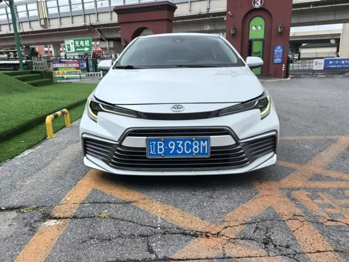 Lingshang 2021 Model 2.0L Deluxe Edition – фото 2