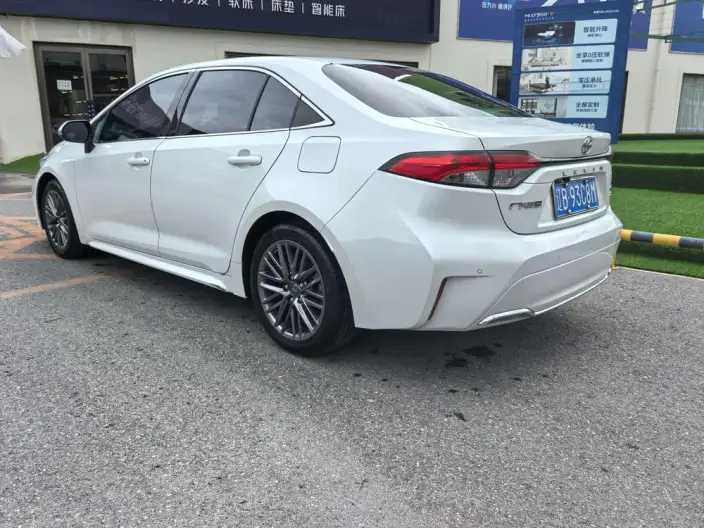 Lingshang 2021 Model 2.0L Deluxe Edition – фото 4