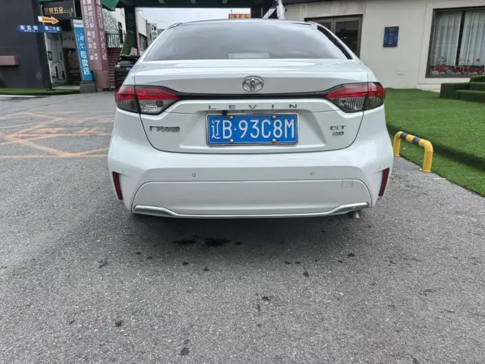 Lingshang 2021 Model 2.0L Deluxe Edition – фото 5