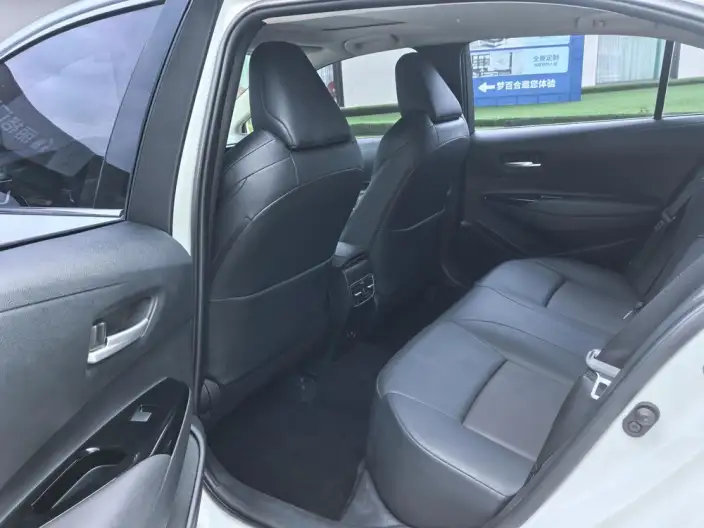 Lingshang 2021 Model 2.0L Deluxe Edition – фото 9