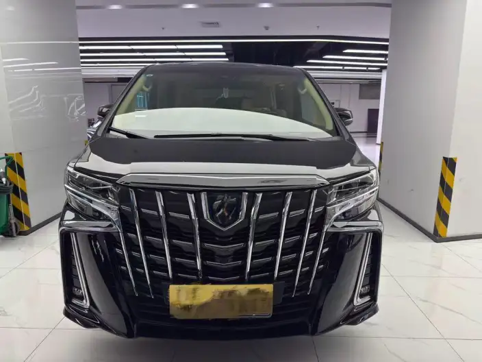Elfa 2022 Model Hybrid 2.5L Zhen Xiang · Gold Edition – фото 2
