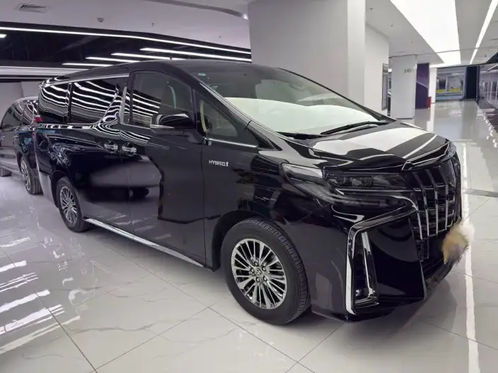Elfa 2022 Model Hybrid 2.5L Zhen Xiang · Gold Edition – фото 3
