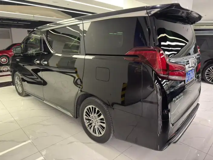Elfa 2022 Model Hybrid 2.5L Zhen Xiang · Gold Edition – фото 4
