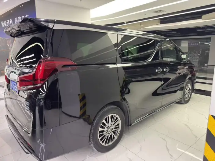 Elfa 2022 Model Hybrid 2.5L Zhen Xiang · Gold Edition – фото 6